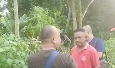 Polda Lampung Temukan  Ladang Ganja di Lamsel   