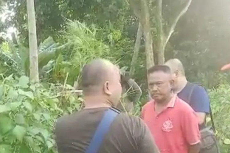 Polda Lampung Temukan  Ladang Ganja di Lamsel   