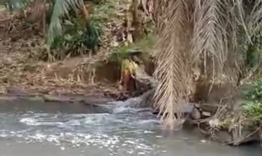 Warga Labuhan Ratu Lamtim   Keluhkan Limbah Pabrik   