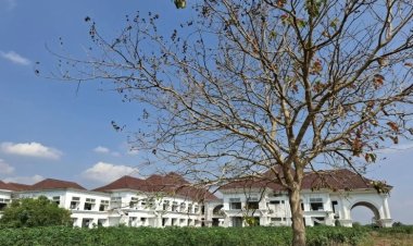 Kotabaru Dapat Jadi Metropilitan Lampung