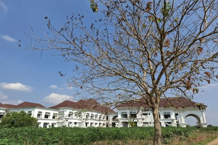 Kotabaru Dapat Jadi Metropilitan Lampung