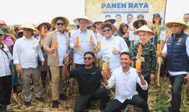 Wagub Jihan dan Wamendes PDT RI Panen Raya Jagung, Dorong Inovasi Teknologi Pertanian untuk Kemandirian Pangan