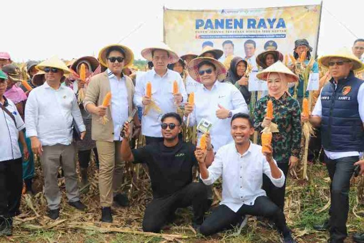 Wagub Jihan dan Wamendes PDT RI Panen Raya Jagung, Dorong Inovasi Teknologi Pertanian untuk Kemandirian Pangan