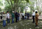 Pemkab Tulang Bawang Bentuk Tim Percepatan Penyebarluasan Informasi Publik