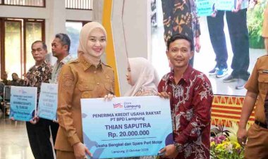 Wagub Lampung Serahkan KUR ke Pelaku UMKM, Dukung Program Nasional Penciptaan Lapangan Kerja