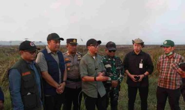 Gubernur Mirza Pastikan Penanganan Kebakaran Terkendali, Tim Gabungan Cegah Api Masuk TN Way Kambas