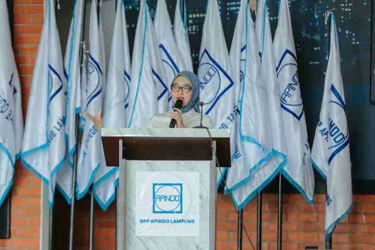 Wagub Jihan Dorong APINDO Perkuat Ekosistem Usaha dan Pemberdayaan UMKM di Lampung
